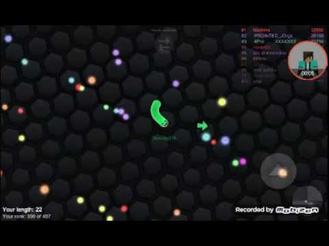 JELLY RULES | Slither IO gameplay